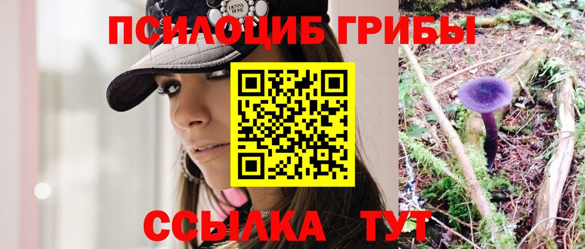 Галлюциногенные грибы прущие грибы Иваново