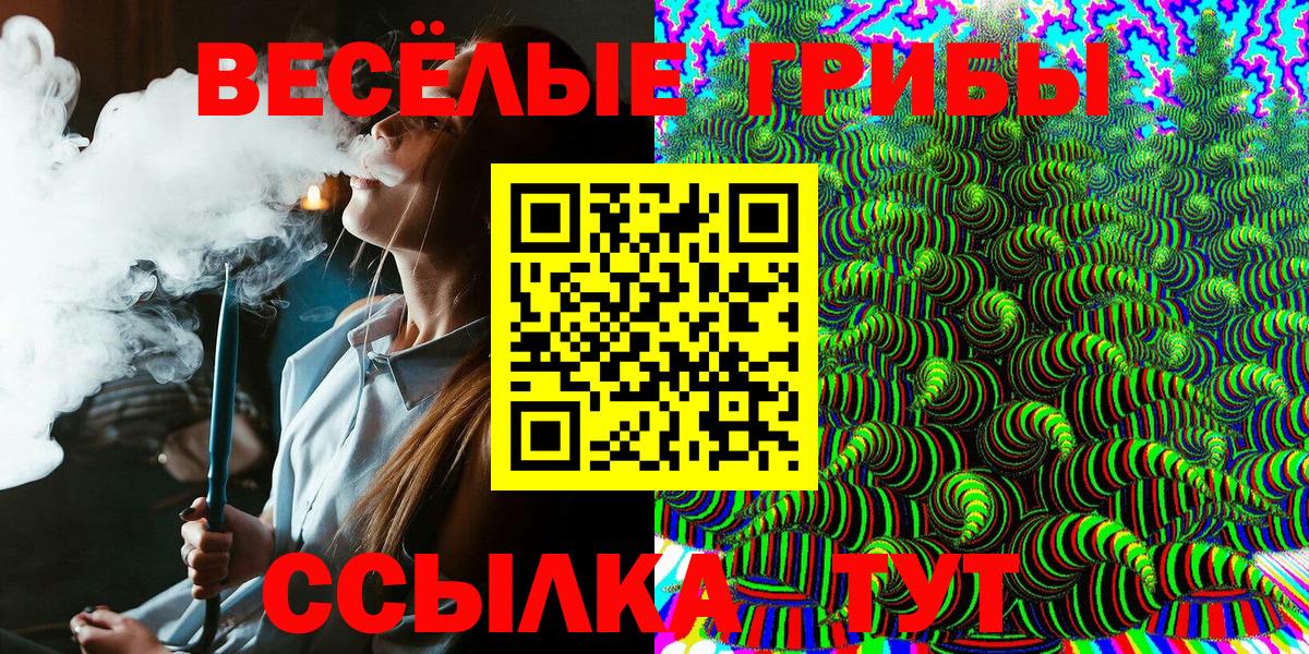 дарнет шоп  Галлюциногенные грибы MAGIC MUSHROOMS  Иваново  Вход с VPN  Псилоцибиновые грибы MAGIC MUSHROOMS 